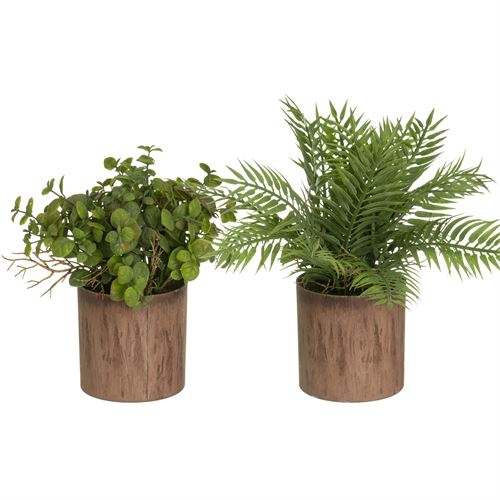 806109 PLANTA 2/M PP-PE 17 X 17 X 22 CM