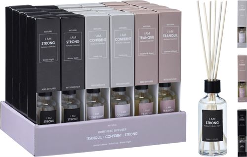 ACC702430 DIFUSOR MIKADO 50ML