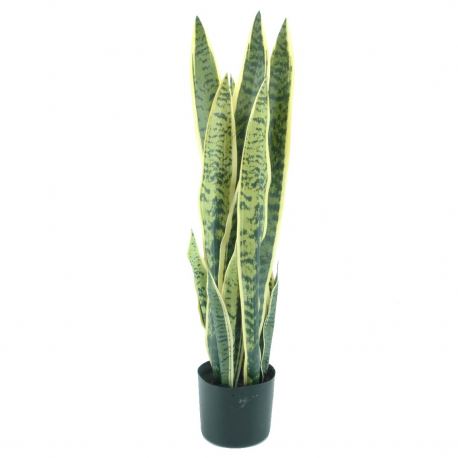 7077 SANSEVIEIRA C/VASO 78CM