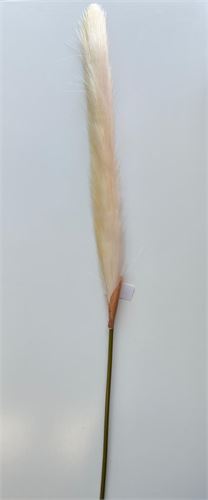 PLUMA CREME 78CM