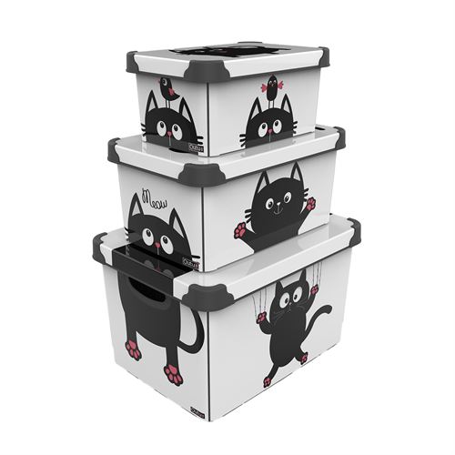 24106 CAIXAS ARRUMAÇÃO PLASTICO ( 22 10 5LTS ) - SET.3