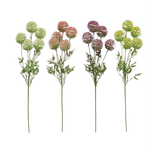 HASTE ALLIUM X 5 -66CM