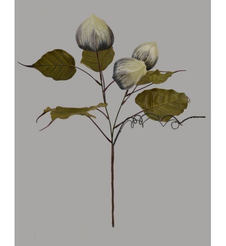 0230200000979 HASTE FISALIS 55CM