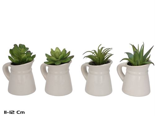 394961 SUCULENTA VASO CERAMICA 11-12CM