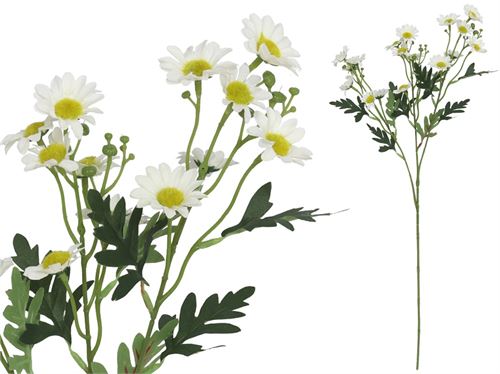 050751 MARGARITA X 3 -62 CM