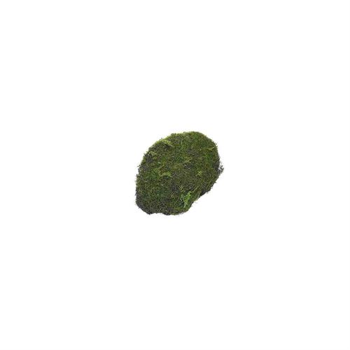43226 PEDRA MUSGO