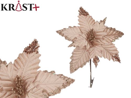 31306 FLOR NATAL CHAMPANHE