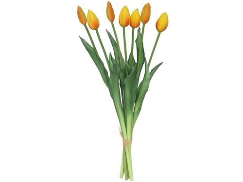 217765 HASTE TULIPA X7 45CM