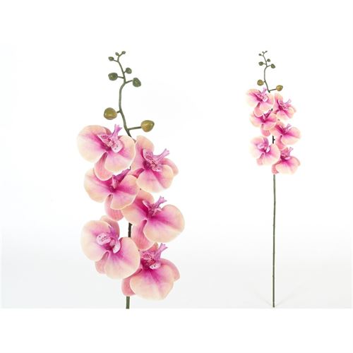 HASTE ORQUIDEA 76CM