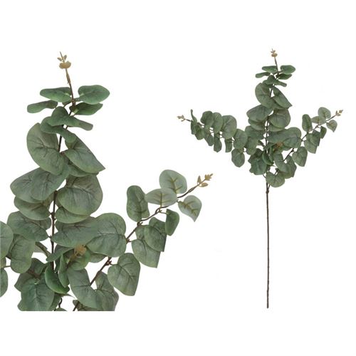 207292 HASTE EUCALIPTO 81 CM
