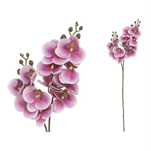 227368 ORQUIDEA X12 TOQUE REAL 76CM