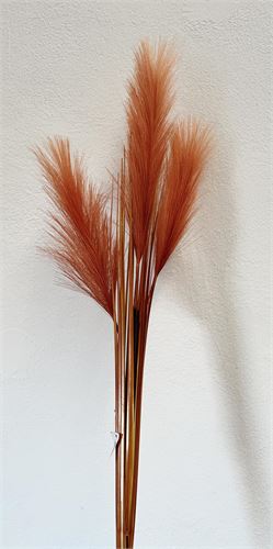 HIERBA DE LAS PAMPAS CORAL 98CM