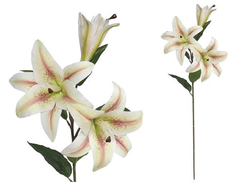 HASTE LILIUM C/TOQUE REAL 79CM