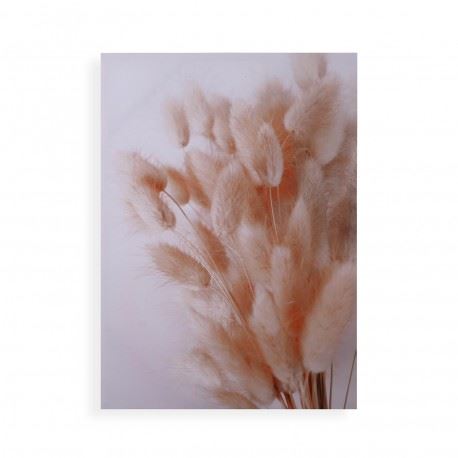 18830163 TELA DECORATIVA 50X70CM