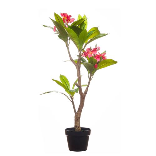 43448 PLANTA ARTIFICIAL - REAL TOUCH FRANGIPAN 120CM