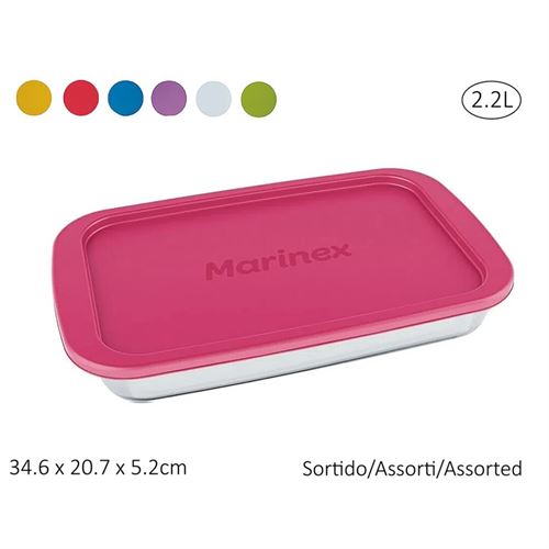 6534-251 gourmet assadeira rect c/tp