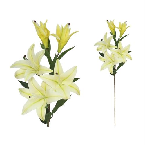 226163 HASTE LILIUM X5 TOQUE REAL