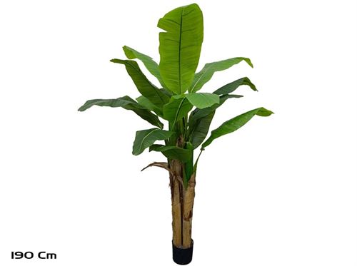 395333 PLANTA DE BANANEIRA X15 190CM