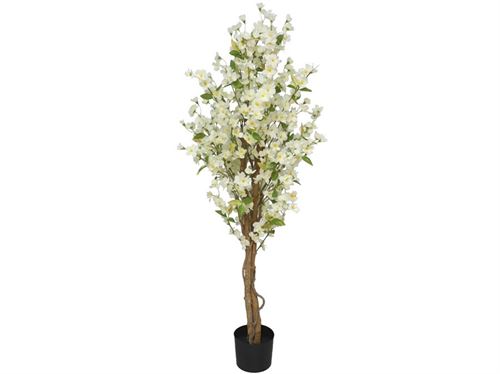 390758 CEREJEIRA 150CM