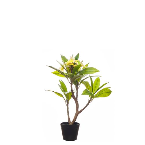 PLANTA ARTIFICIAL - REAL TOUCH FRANGIPAN 60CM