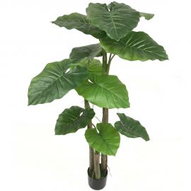 PLANTA COLOCASIA 150CM