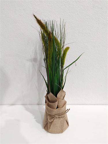 PLANTA JUNCOS 15X50CM