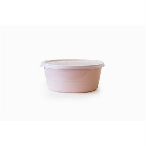 CAIXA ALIMENTOS 02 1006-SOLID ROSA 0.7LT