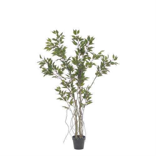 43511 PLANTA ARTIFICIAL FICUS 170CM
