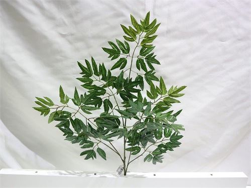 30301 HASTE ACER