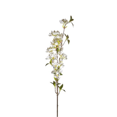42242 HASTE REAL TOUCH SINGLE CHERRY BLOSSON