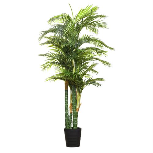 PLANTA ARECA PALMX5 210CM