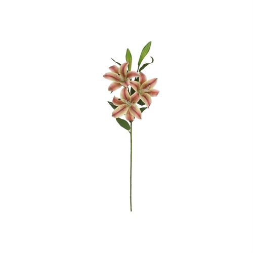 226064 HASTE LILIUM X 5 TOQUE REAL