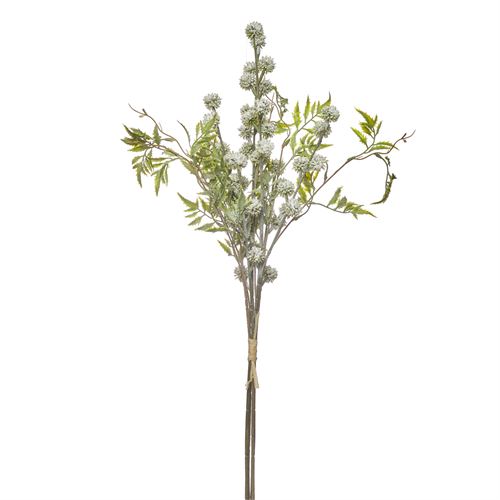 42219 HASTE - FROSTED ERYNGIUM BUNDLE X4 70CM