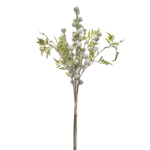 HASTE - FROSTED ERYNGIUM BUNDLE X4 70CM