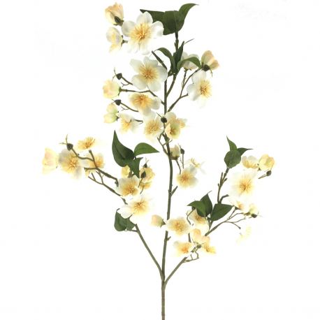 MUTABILIS FALL EVER CHAMPAGNE 86CM