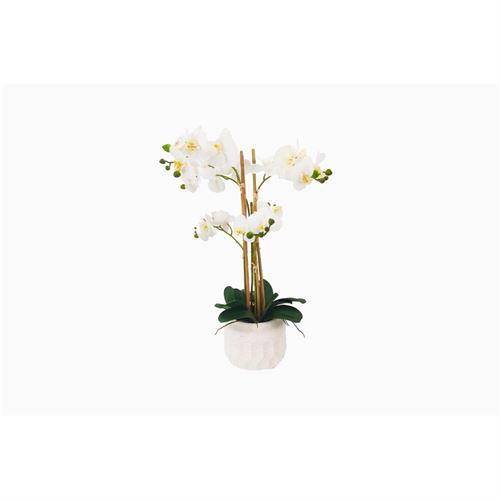 ORQUIDEA BRANCA 40x38x60cm