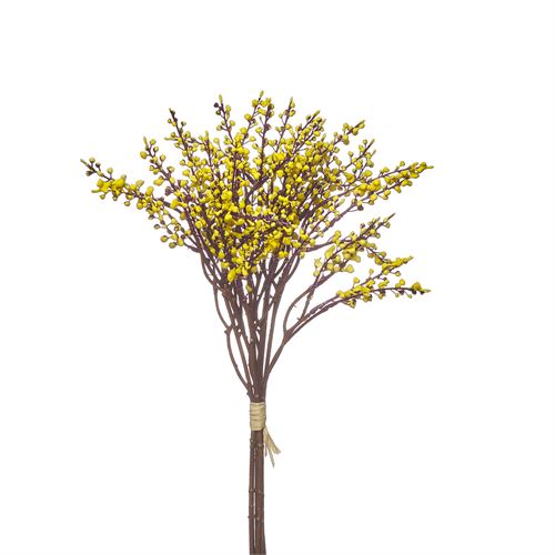 42236 HASTE - ACORN BUNDLE X 6 38CM