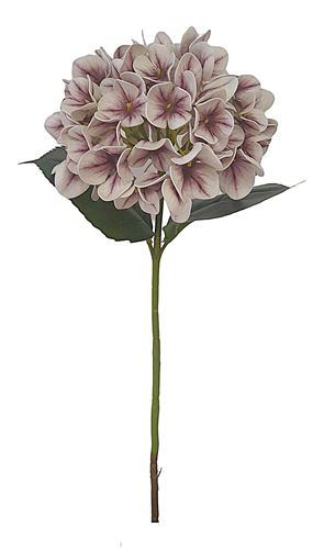 50-IT-6497 HORTENSE 60CM