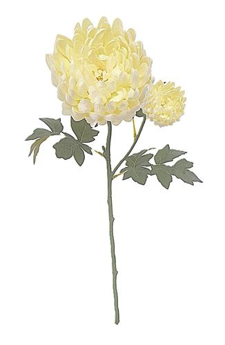 50-IT-5070 HASTE DE CRISANTEMO C/60CM