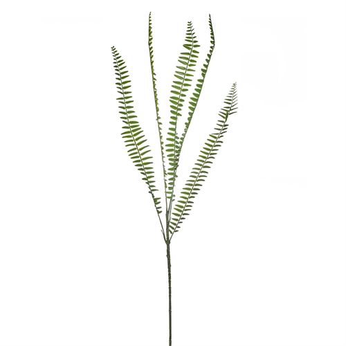 HASTE FERN 5LVS 92CM