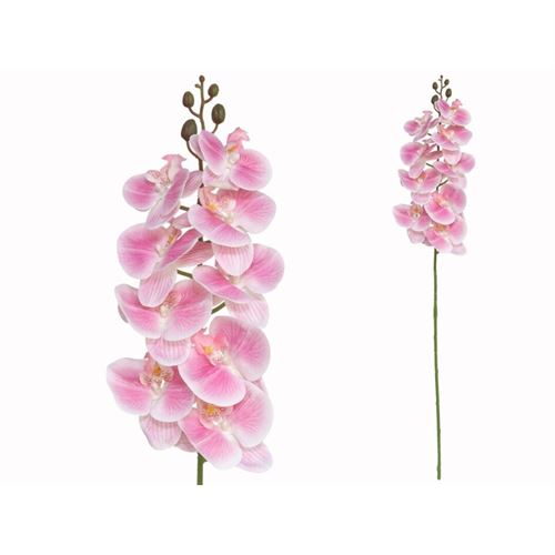 223421 HASTE ORQUÍDEAS TOQUE REAL X 9