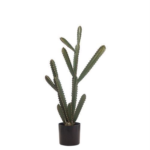 PLANTA ARTIFICIAL CATO 103,51CM