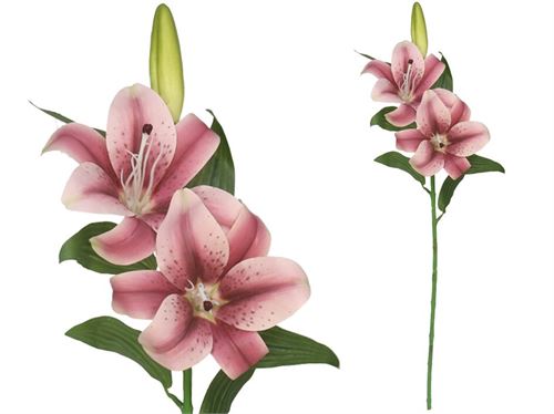 225920 LILIUM X3 TOQUE REAL