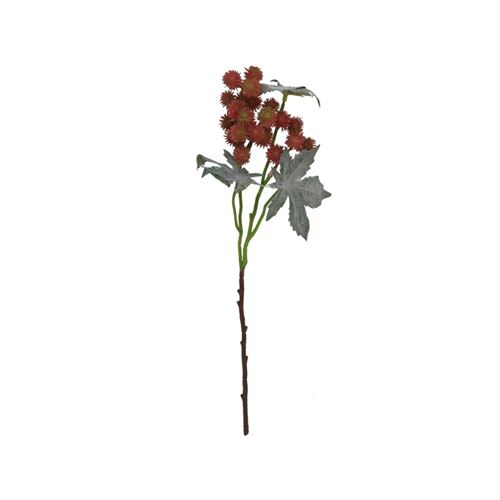 88300 HASTE RICINUS X 25-43CM
