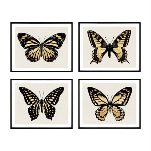 370415 QUADRO DECORATIVO BORBOLETA 40X50X1,8CM