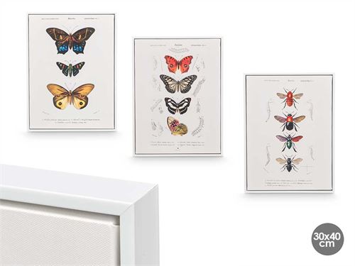 13585 QUADRO MOLDURA BRANCA BORBOLETA 3 SORT 30X40CM