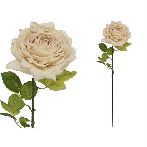 208299 HASTE ROSA SECA 66CM