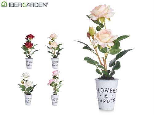 86822 PLANTA ROSA BOTE METAL SORT 4