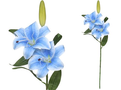 225944 LILIUM X3 TOQUE REAL