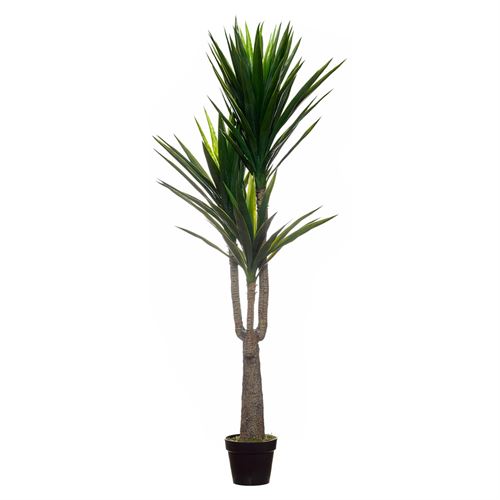 PLANTA ARTIFICIAL YUCCA 180CM